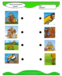 Resim ile Parçasını Eşleştir Çalışma Sayfaları